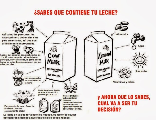 leche caricatura